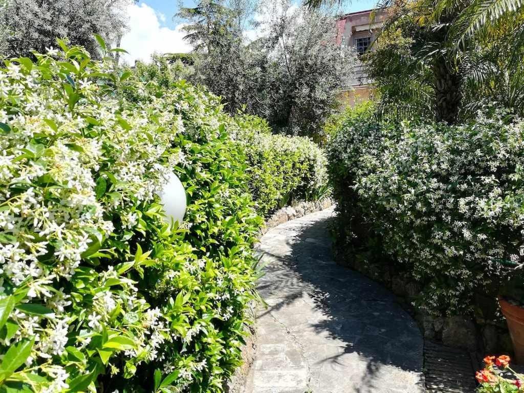 Apartmán Casa Dinky Attico Con Terrazza Vista Mare Formia Exteriér fotografie